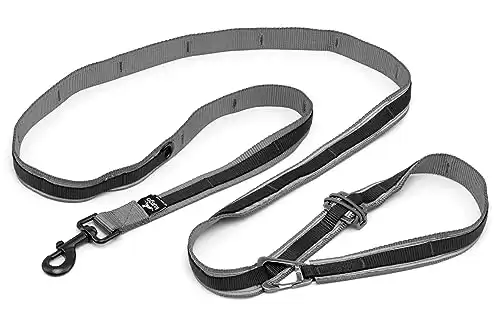 Kurgo 6 in 1 Quantum Leash, Hands Free Leash for Dogs, Running Belt Lead,