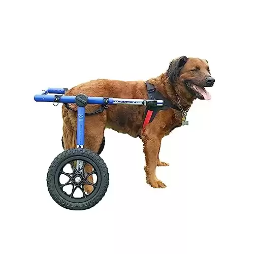 Walkin' Wheels Dog Wheelchair - for Large Dogs 70-180 Pounds - Veterinarian Approved - Dog Wheelchair for Back Legs