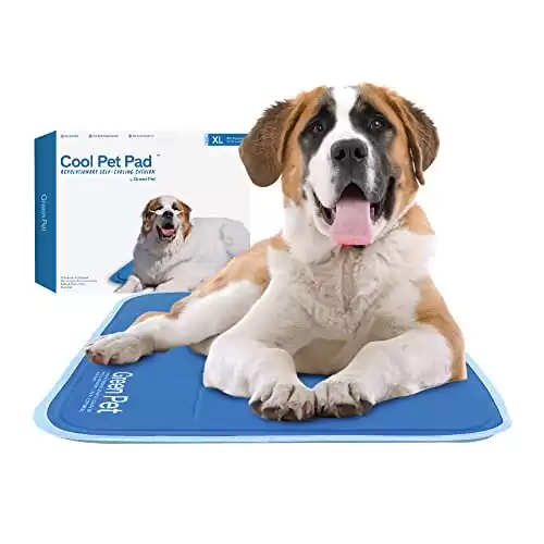 The Green Pet Shop Dog Mat, Extra Large - Pressure Activated Cooling Pad