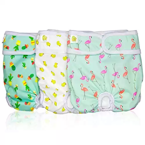 Pet Magasin Reusable Washable Dog Diapers (Pack of 3), Highly Absorbent with Strong & Flexible Closure (Trending, Large (16 -24 Waist))