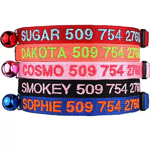 GoTags Personalized Cat Collars with Breakaway Safety Release Buckle