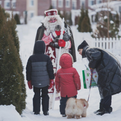 Study: The Influence of Pet Ownership on Physical Health