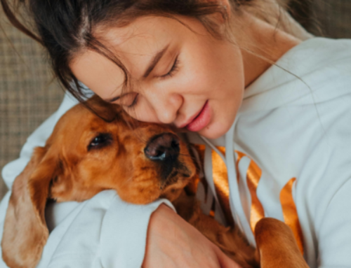 The Benefits of Pet Ownership on Mental Health