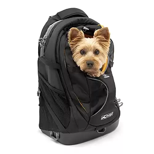 Kurgo G-Train - Cat Carrier Backpack for Small Pets